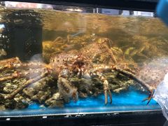 -盒马鲜生(皇庭广场店)