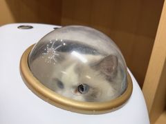 -联合动物医院(光谷诊疗中心)