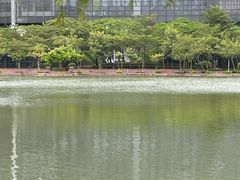 -星巴克(大梅沙8号仓店)