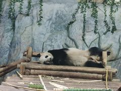 -深圳野生动物园