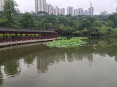 -龙头寺公园