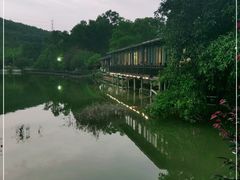 -梧桐庄园