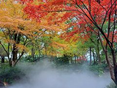 -绿城千岛湖喜来登度假酒店