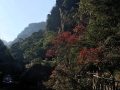 -永泰中国云顶