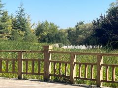 -石家庄市动物园