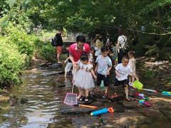 -重庆彩云湖湿地公园