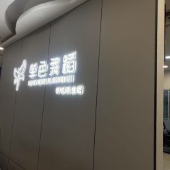 -单色舞蹈