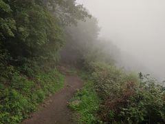 -阳台山自然风景区