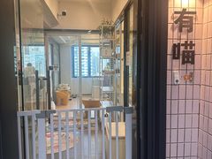 -有喵·猫咖·狗咖·30几只猫10只小狗(岗厦店)