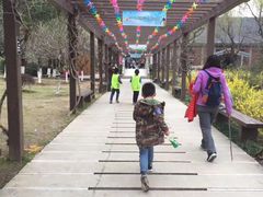 -白马涧龙池景区