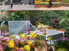 -南山植物园