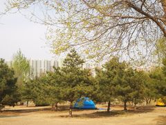 -永定河休闲森林公园