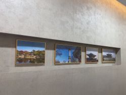 -上海首尔丽格医疗美容医院