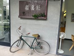-猫里有甜