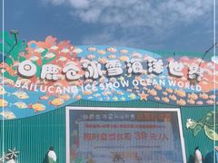 -白鹿仓冰雪海洋世界