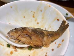 -陈先进鱼馆·地道农家菜(湖墅南路店)