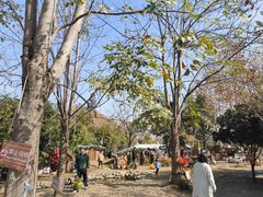 -HERRE·FARM 赫尔露营农场·团建聚会包场