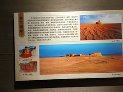 -巴音郭楞蒙古自治州博物馆