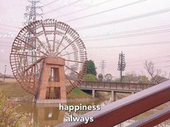 -王借岗森林公园