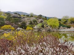 -北京西山国家森林公园