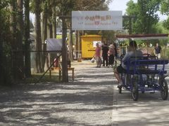 -前小桔亲子创意农场·草莓采摘·露营烧烤