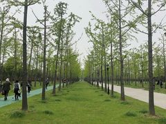 -东园小馆·早茶·淮扬小炒(宋夹城店)