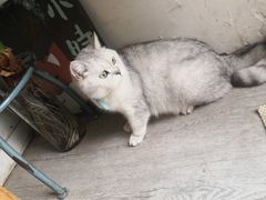 -小时光咖啡馆(北锣鼓巷店)