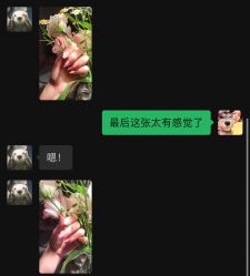 -Adore nail日式美甲美睫