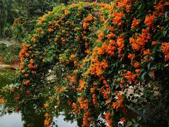 -海南热带野生动植物园