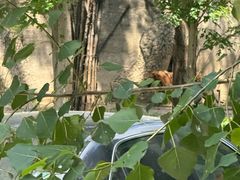 -秦皇岛野生动物园
