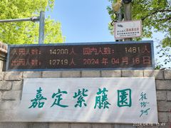 -嘉定紫藤园