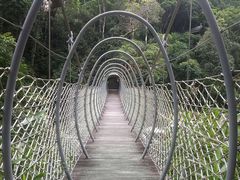 -海南热带雨林国家公园吊罗山景区