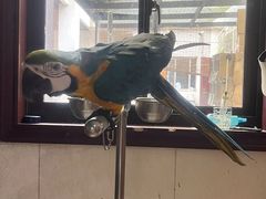 -观桥阁(锦溪店)