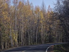 -五营红松林海景区