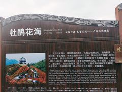 -大围山国家森林公园