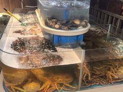 -黑木原精致料理·铁板烧