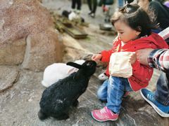 -西霞口神雕山野生动物世界