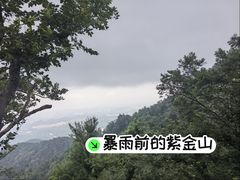 -紫金山山顶公园