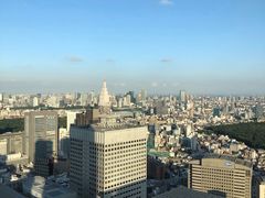 -东京都厅舍