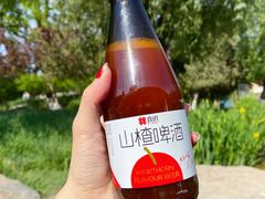-喜识·冰糖葫芦·炒酸奶(西美花街店)