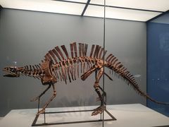 -湖南省地质博物馆