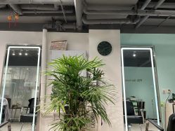 -Will+ Hair Studio