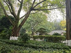 -龙头寺公园