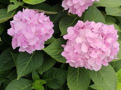 -常州古运河南大街文化旅游区-人民公园