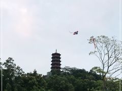 -红花山公园