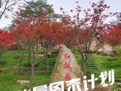 -广州市帽峰山景区