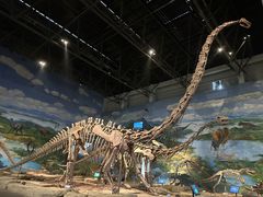 -自贡恐龙博物馆