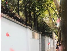 -巴金故居
