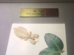 -上海昆虫博物馆