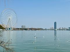 -无锡蠡湖国家湿地公园-蠡园